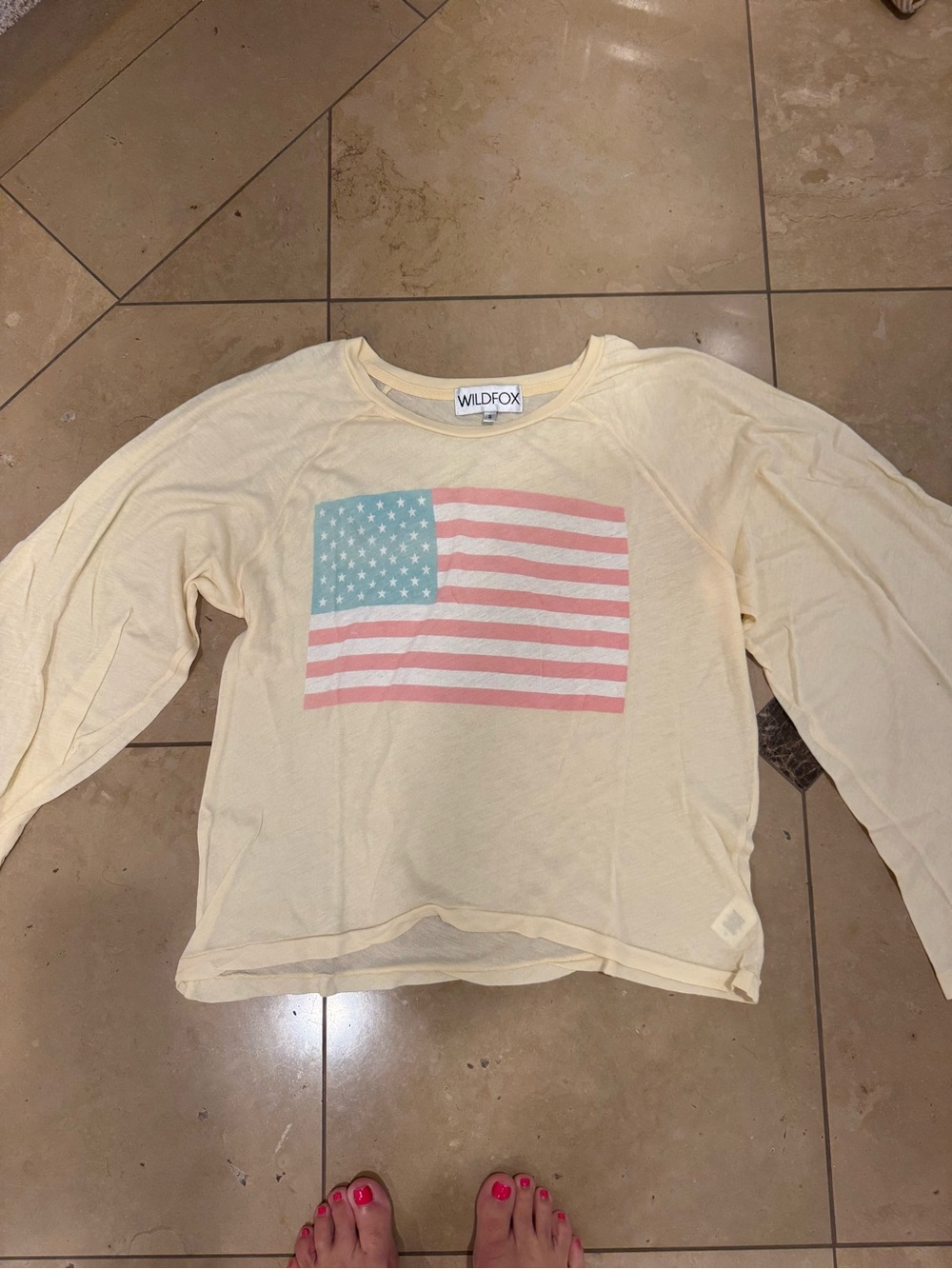 Wildfox Cream Long Sleeve Tee with Pastel Flag Graphic